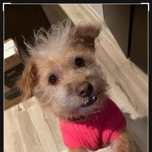 Meet your Posher, Maura